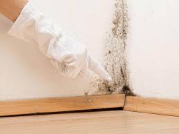 Best Residential Mold Inspection & Testing  in Haskell, OK